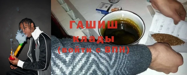 индика Гусев