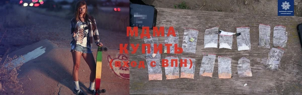 индика Гусев