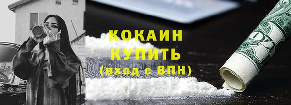 индика Гусев