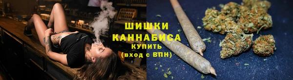 индика Гусев
