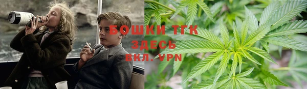индика Гусев