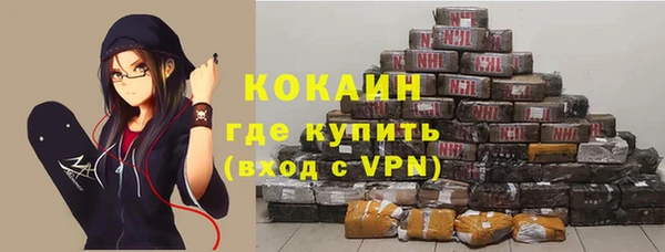 индика Гусев