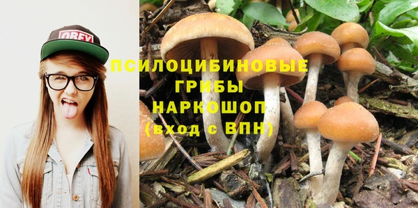 a pvp Гусиноозёрск