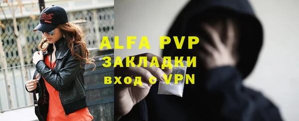 индика Гусев