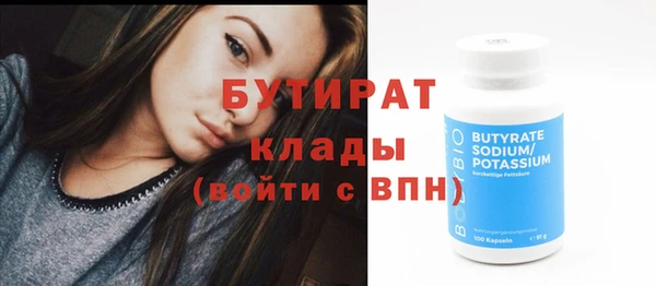 индика Гусев