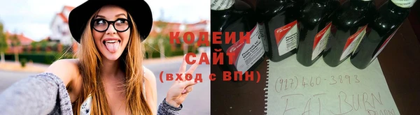 индика Гусев