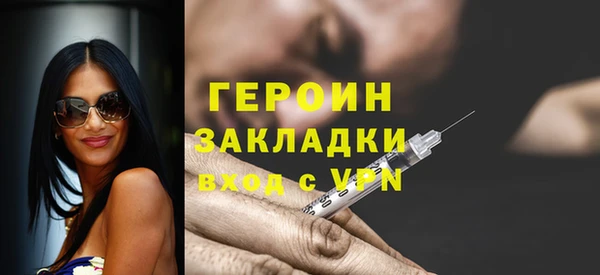 индика Гусев