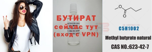 индика Гусев