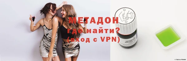 индика Гусев