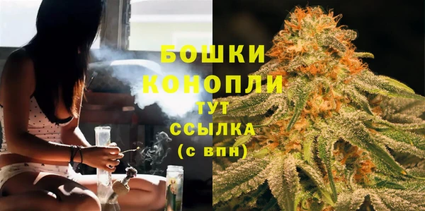 индика Гусев