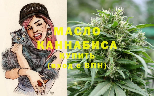крисы Гусь-Хрустальный