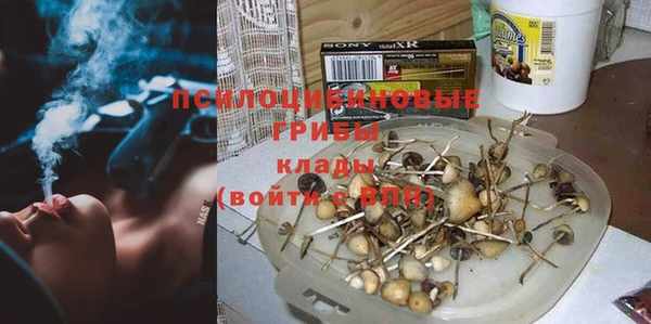индика Гусев