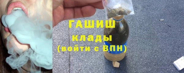 индика Гусев