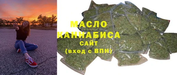 индика Гусев