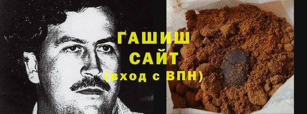индика Гусев