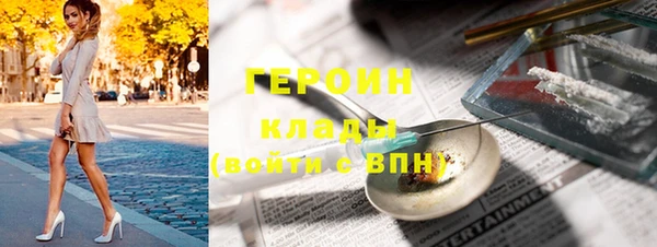 индика Гусев
