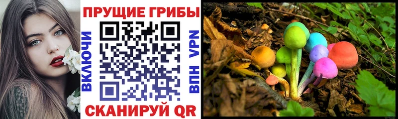 hydra как зайти Стерлитамак Галлюциногенные грибы Magic Shrooms
